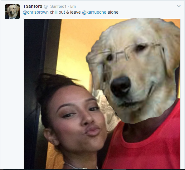 s6sfdogpi5ob.png