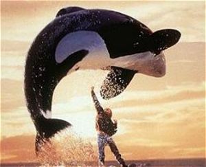 2007-11-29-free_willy.jpg