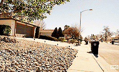 tumblr_ms4e55s9n01qb4op4o8_250.gif