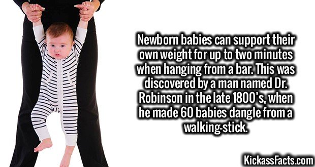 3180-Toddler-Dangling.jpg