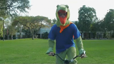 djwr90zt1lm8.gif