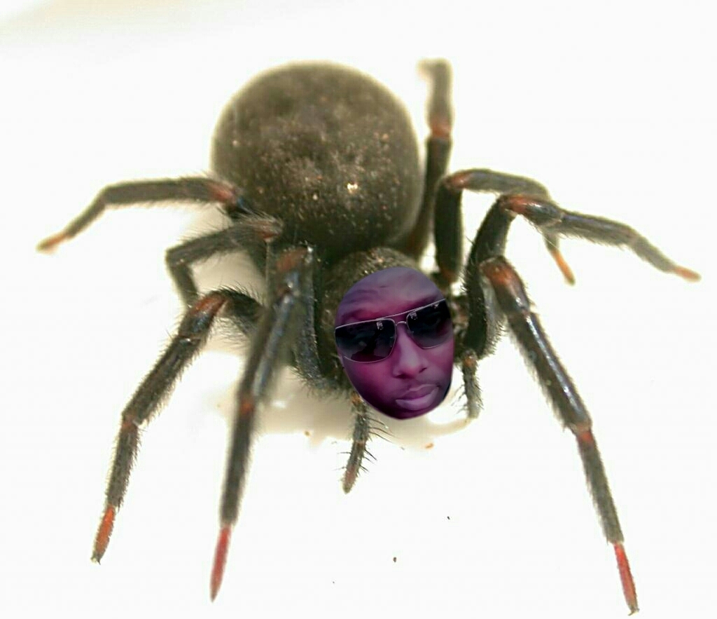 yehquhdynklc.jpg