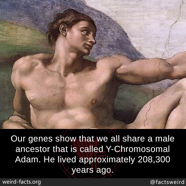 tumblr_ox1sdkxZ2D1szqwnwo1_1280.jpg