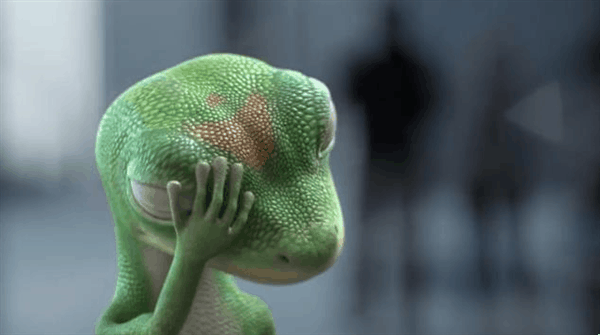 vj73fiizqt9v.gif