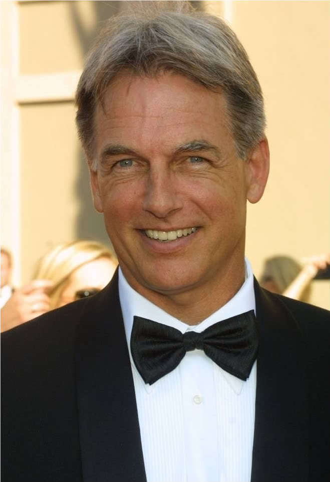 Gibbs-Harmon-mark-harmon-20635110-659-961.jpg