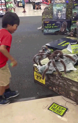 tumblr_np53a1hSki1tcpc1oo1_250.gif