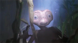 tumblr_mnsfrbL51x1r46uxeo1_250.gif