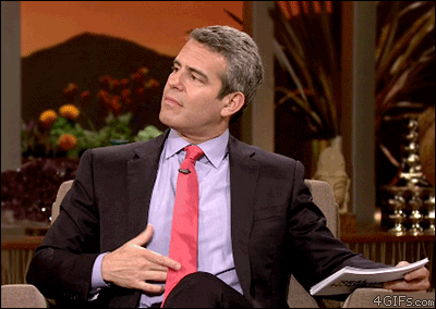 Talk-show-bird-scares.gif