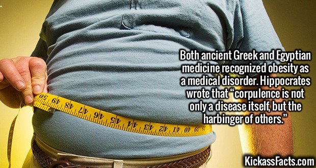 2137-Obesity.jpg