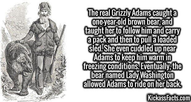 3191-Grizzly-Adams.jpg