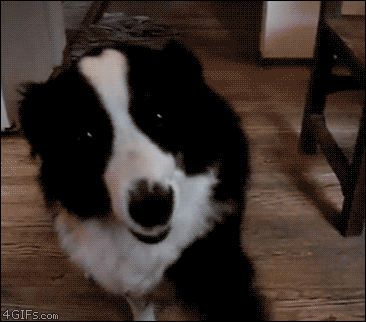 tumblr_ma63065Kma1qdlh1io1_400.gif