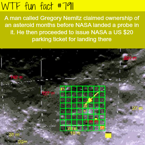 tumblr_ovvj5v2YYS1roqv59o1_500.png