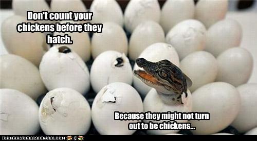 chickens.jpg