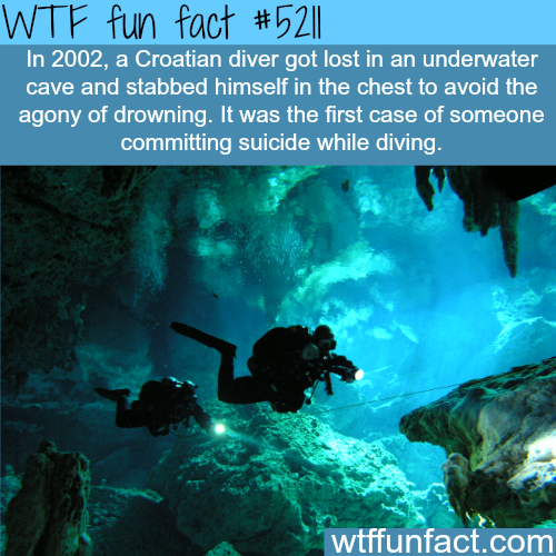 tumblr_o21dscDlmj1roqv59o1_500.png