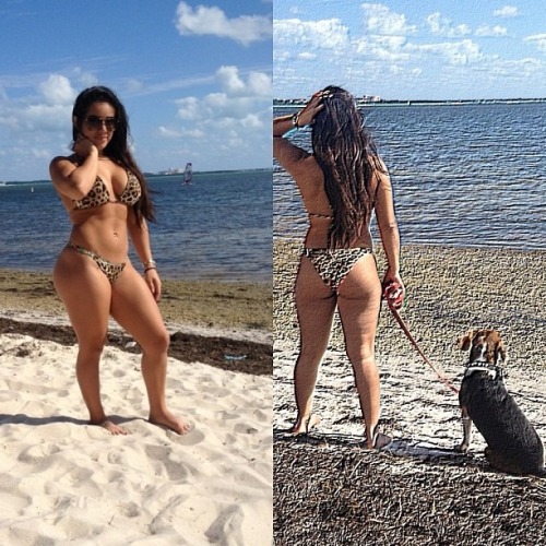 tumblr_mjke3r685i1ru423qo1_500.jpg