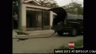 z08hnxdl1xkz.gif