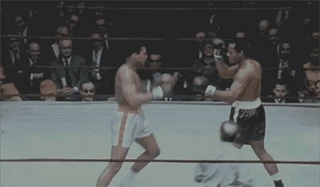 tumblr_n2q4adiYNQ1s8ohmto1_500.gif