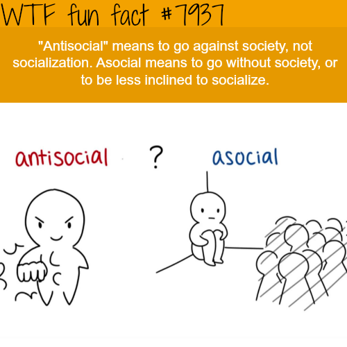 tumblr_ow9qq4b7xT1roqv59o1_500.png