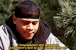 tumblr_mqwh7dd7df1qg1qx9o1_r1_250.gif