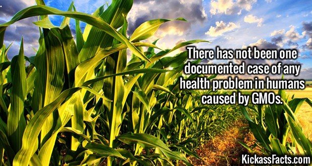2229-GMO-foods.jpg