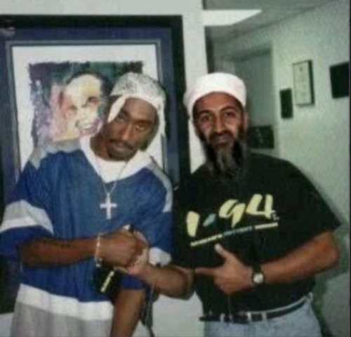 tumblr_lkjuarEq1i1qc0klco1_500.jpg