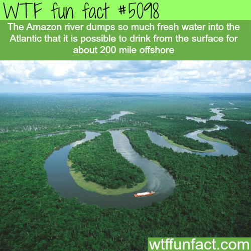 tumblr_o0pu2r5ZN21roqv59o1_500.png