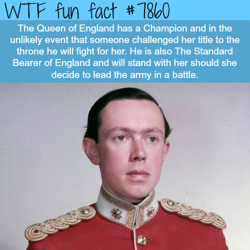 tumblr_ov6sjaoTel1roqv59o1_500.png