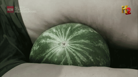 tumblr_inline_nbdtyvwtIU1swbyv1.gif