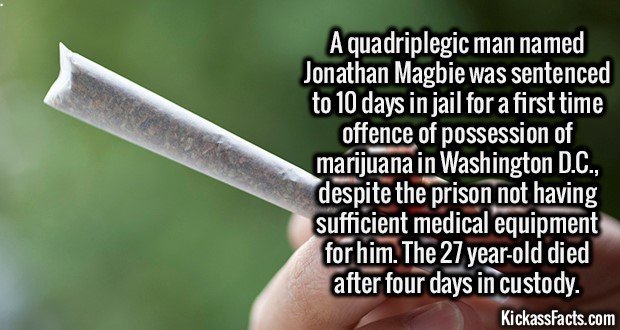 2085-Quadriplegic-marijuana-possession.jpg