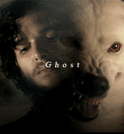 tumblr_lx1ewl5TsH1qg0u4go2_250.gif
