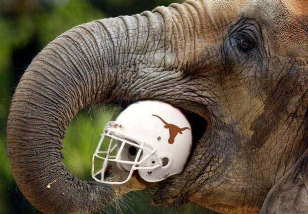 Roll+Tide1262835497.jpg