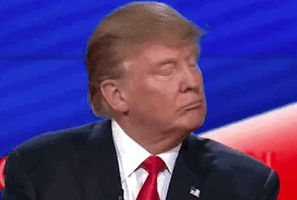 9y3oef71jly6.gif