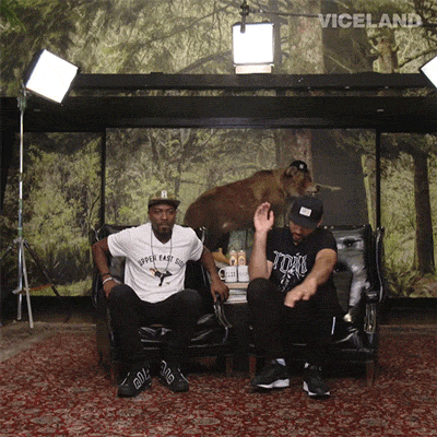 f5ozl979ykts.gif
