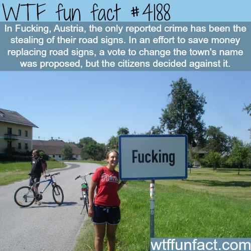 tumblr_nqm17m1kTn1roqv59o1_500.png