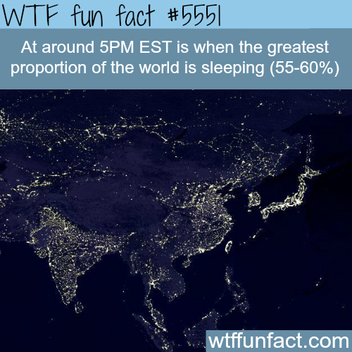 tumblr_o4tbxw9FbV1roqv59o1_500.png