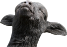 9aib9fiqbiw3.png