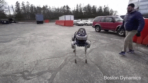 u0a9hcxm0qwg.gif