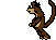 monkey.gif