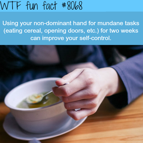 tumblr_oyg1zflbJY1roqv59o1_500.png