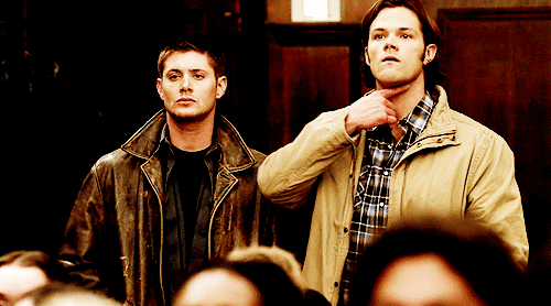 tumblr_mqeu9a8qon1sp9fcho1_500.gif