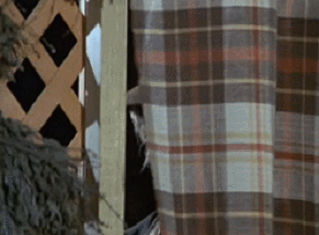 j3z5wjghthth.gif