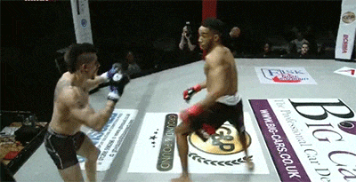 tumblr_olpiuluMjw1ry1rm7o1_400.gif