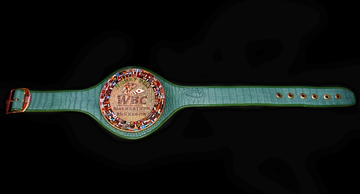 wbc-money-belt%20(3).jpg