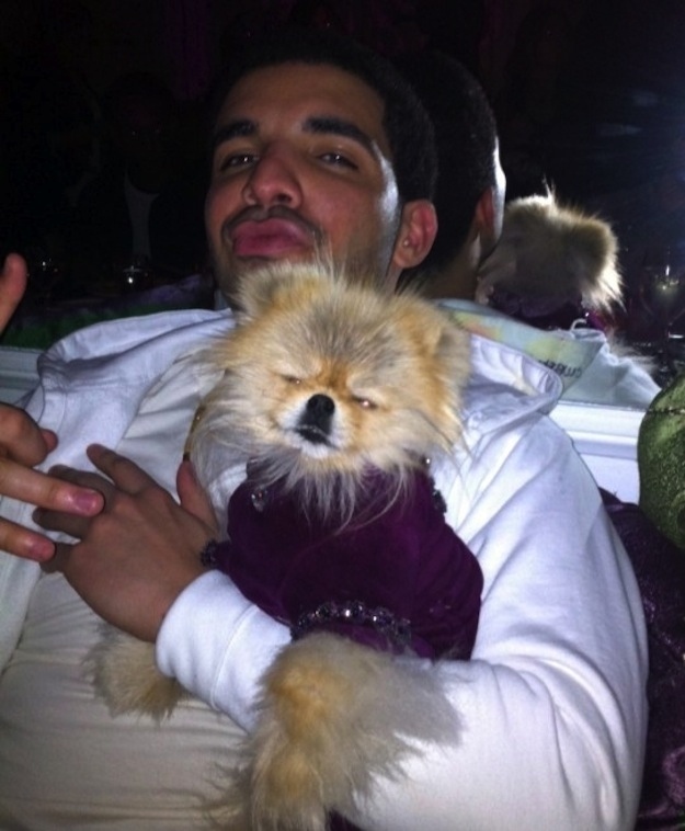 Giggy-Vanderpump-Is-The-Most-Popular-Dog-In-Hollywood-.jpg