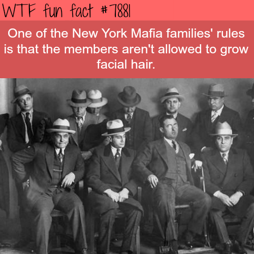 tumblr_ovgbolGaiF1roqv59o1_500.png
