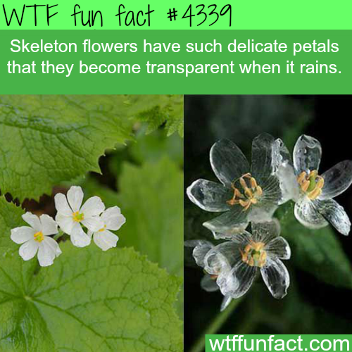 tumblr_ns5t513vSw1roqv59o1_500.png