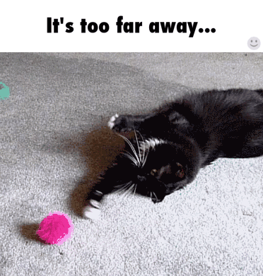 psy07gaev945.gif