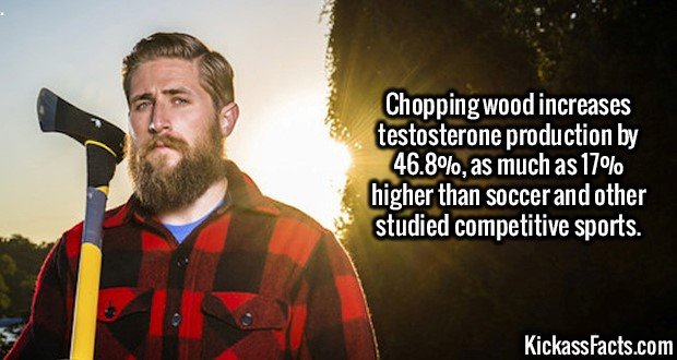 2594-Chopping-wood.jpg