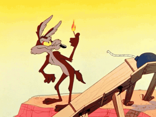 tumblr_nhvfs2vVpy1s2wio8o1_500.gif
