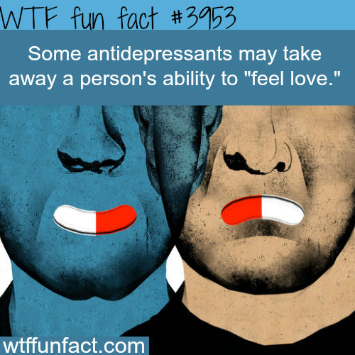 tumblr_nnyjvxFeps1roqv59o1_500.png